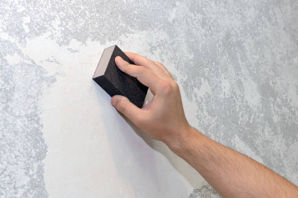 Best Mold-Related Health Consultation  in New Rochelle, NY