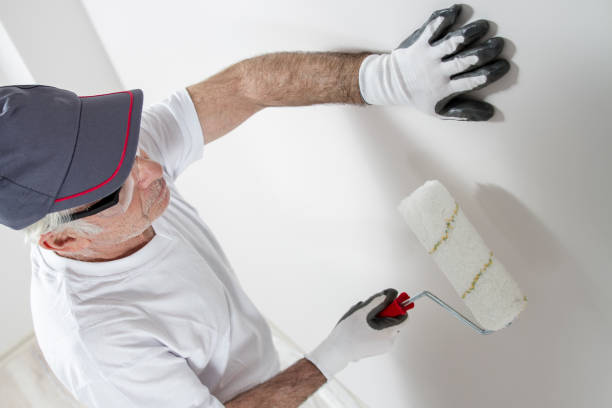 Best Emergency Mold Remediation  in New Rochelle, NY