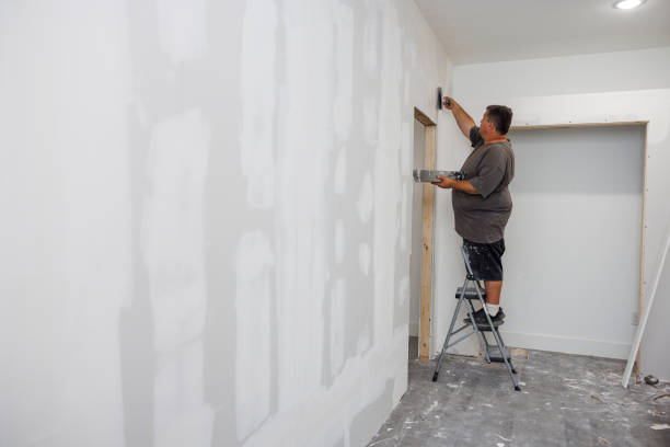 Mold Odor Removal Services in New Rochelle, NY
