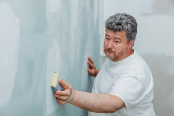 Best Mold Odor Removal Services  in New Rochelle, NY