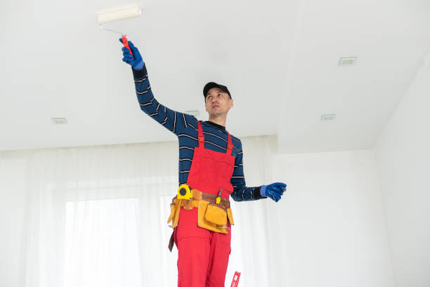 Best Forensic Mold Investigation  in New Rochelle, NY