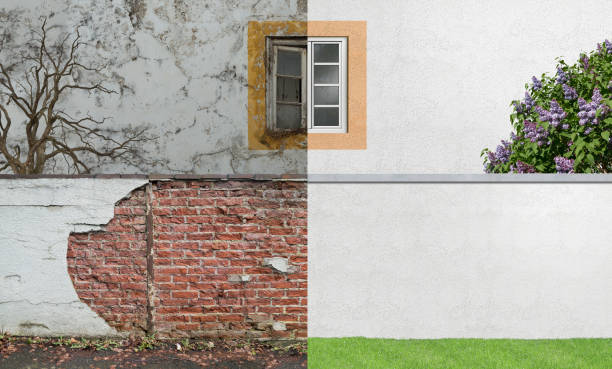 Best Commercial Mold Inspection  in New Rochelle, NY