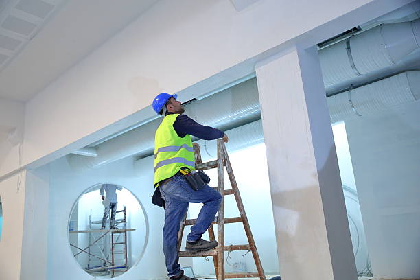 Professional Mold Removal in New Rochelle, NY